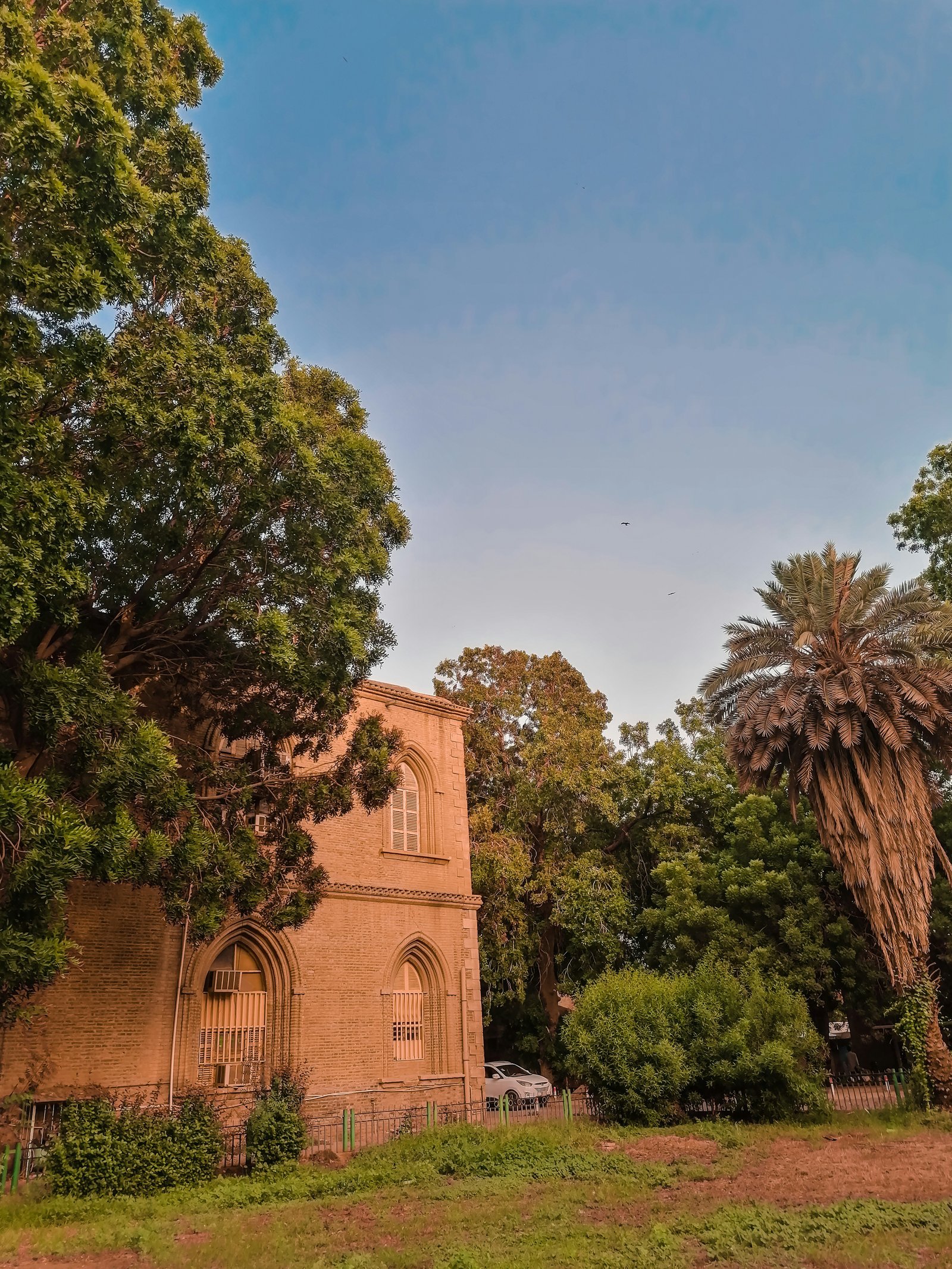 a church surrounded by trees on a sunny day